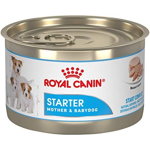 Puppy Starter Formula